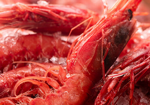 Gambero Rosso